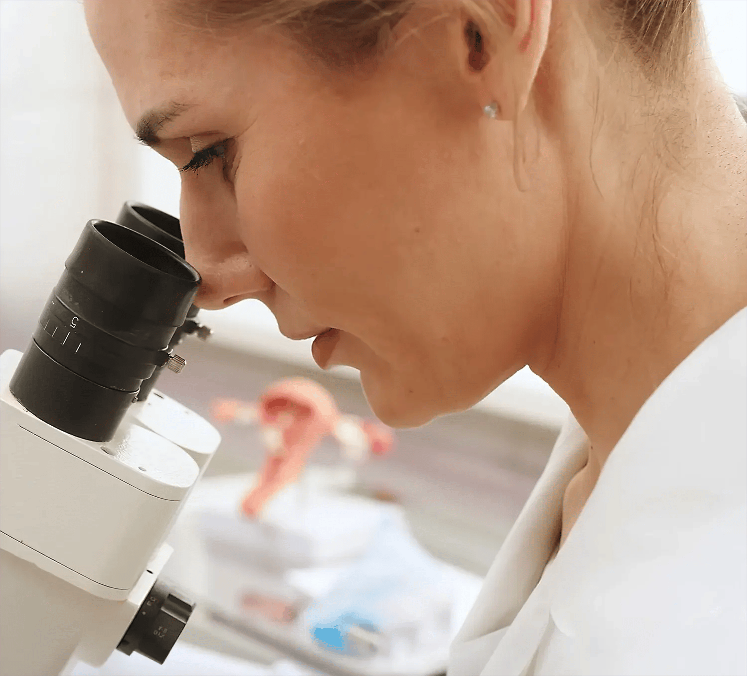 WHF - Colposcopy Banner copy 2