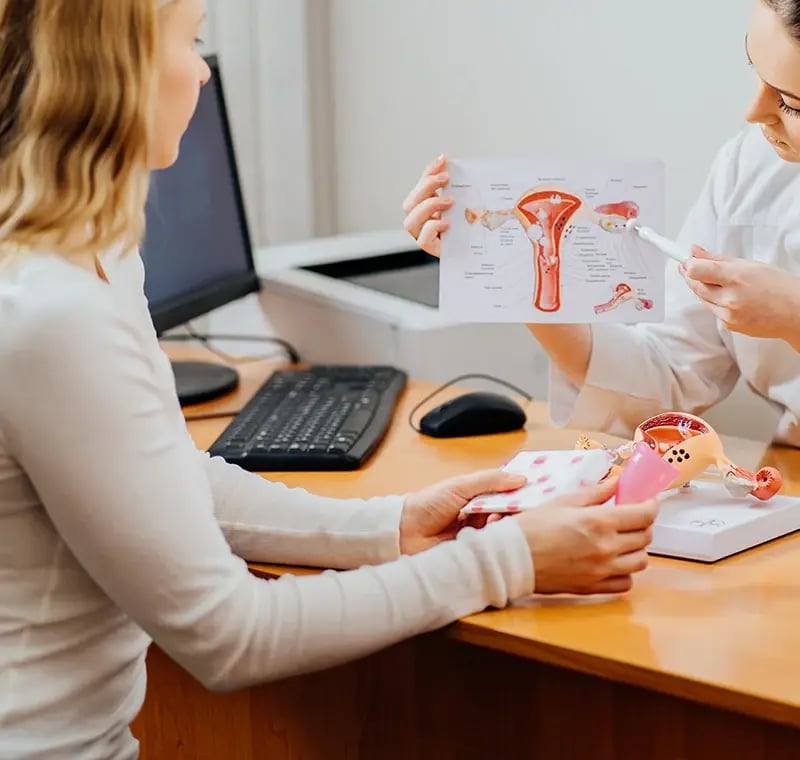 WHF -Home - Gynecology copy